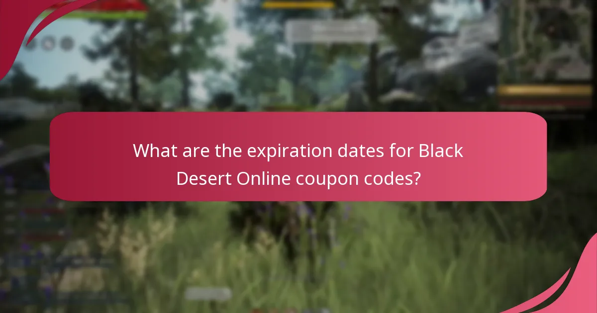 What item types can Black Desert Online coupon codes be applied to?